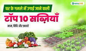 without money business ideas, बिना पैसे के व्यापार कैसे करें।